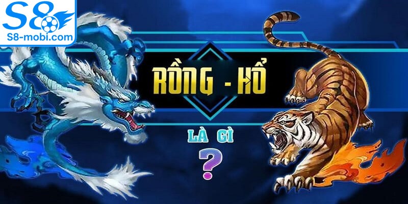 Tham gia phiên bản Rồng Hổ online cực kỳ thú vị và kịch tính