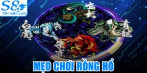 Mẹo Chơi Rồng Hổ